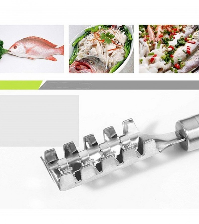 Fish Scale Remover Stainless Steel Scaler Scraper